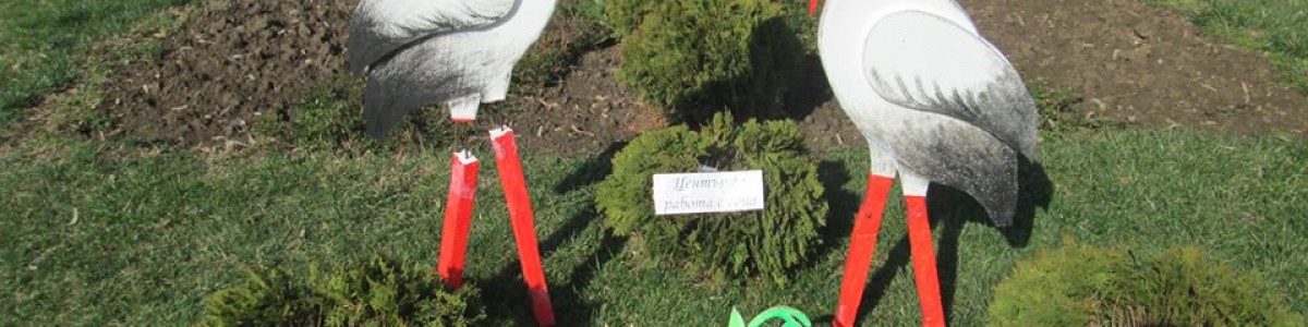 Вълшебното дърво на Баба Марта зареди с празничен дух мало и голямо