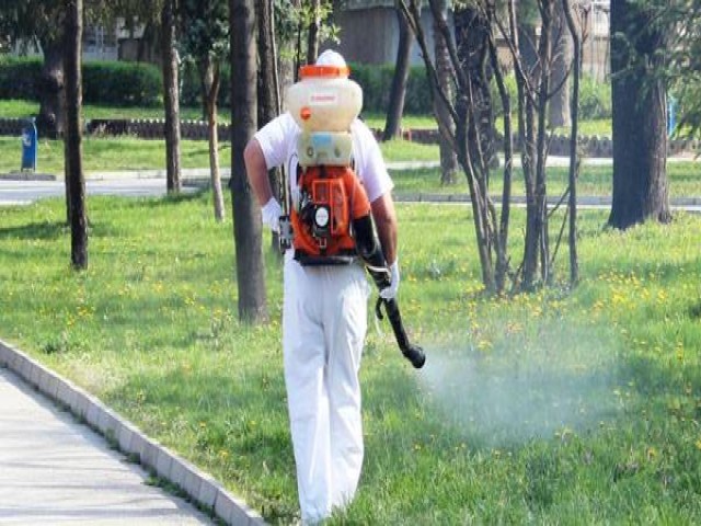 Dekarizaciya.jpg