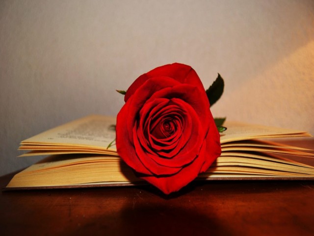 rozi19-1024x682.jpg